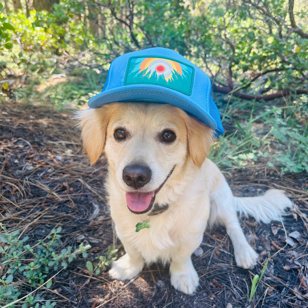 Light blue Kooh Culture foam trucker hat with the In the Trees XL patch, alternate view