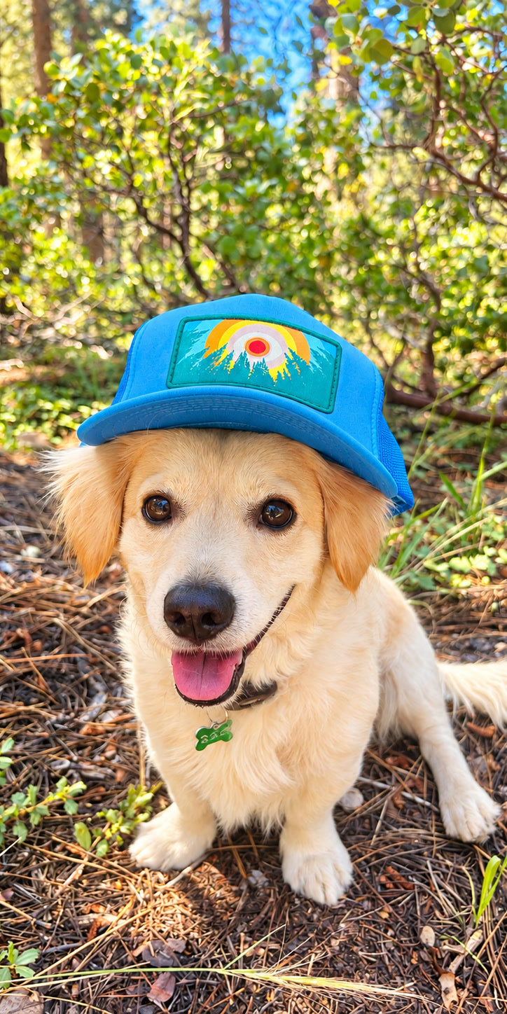 A long-haired dachshund sitting on a pine-needle trail wearing a blue Kooh Culture foam trucker with the In the Trees patch